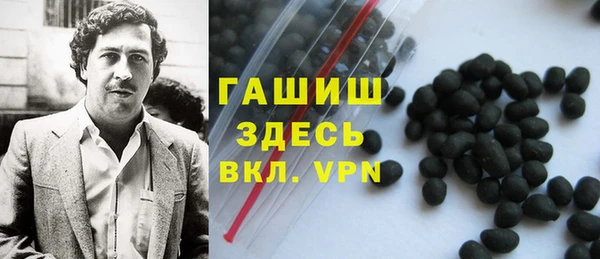 гидра Кинешма