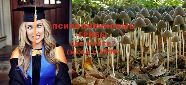 ГАЛЛЮЦИНОГЕННЫЕ ГРИБЫ Киреевск