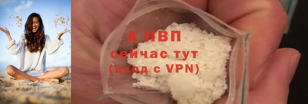 гидра Кинешма
