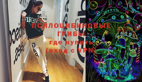 гидра Кинешма