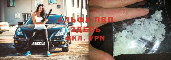 гидра Кинешма