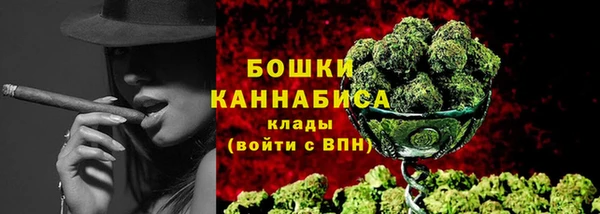 гидра Козловка
