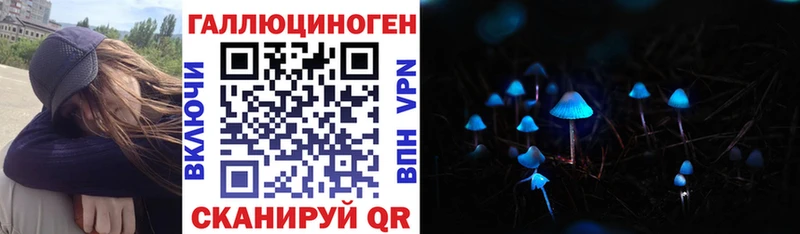 Купить закладки  Медынь  Псилоцибиновые грибы GOLDEN TEACHER 